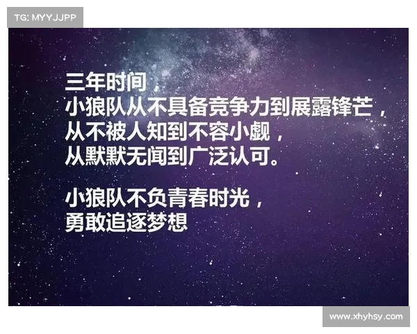 狼队崛起:从默默无闻到英超强者的传奇之路 狼队崛起:从默默无闻到英超强者的传奇之路